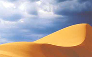 Dry sand dune