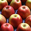 apple, enjoy apple, foods pkd polycystic kidney disease, alkaline foods, enjoy foods, avoid foods