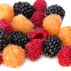 berry, berries, enjoy most berries, avoid strawberry, foods pkd polycystic kidney disease, alkaline foods, enjoy foods, avoid foods