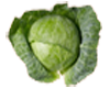 cabbage, enjoy cabbage, enjoy cabbage juice, foods pkd polycystic kidney disease, alkaline foods, enjoy foods, avoid foods