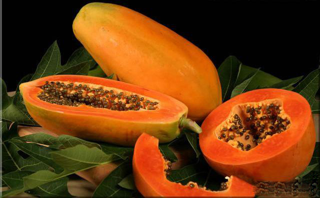 papaya papain pkd polycystic kidney disease alkaline diet pld polycystic liver disease papaya alkaline
