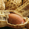 peanut, avoid peanut, all avoid peanuts, foods, pkd, polycystic kidney disease, alkaline foods