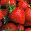 strawberry, avoid strawberry, foods, pkd, polycystic kidney disease, alkaline foods, enjoy foods, avoid foods