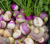 turnip, enjoy turnip, foods, pkd, polycystic kidney disease, alkaline foods, enjoy foods, avoid foods